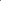 Lavender True Essential Oil - Bumble & Birdie NZ